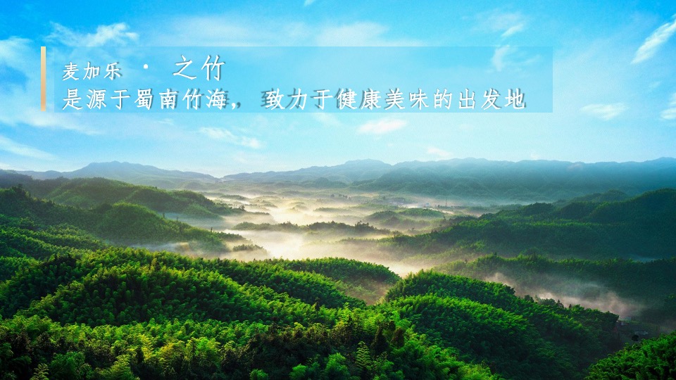 竹笋饼干品牌策略全案