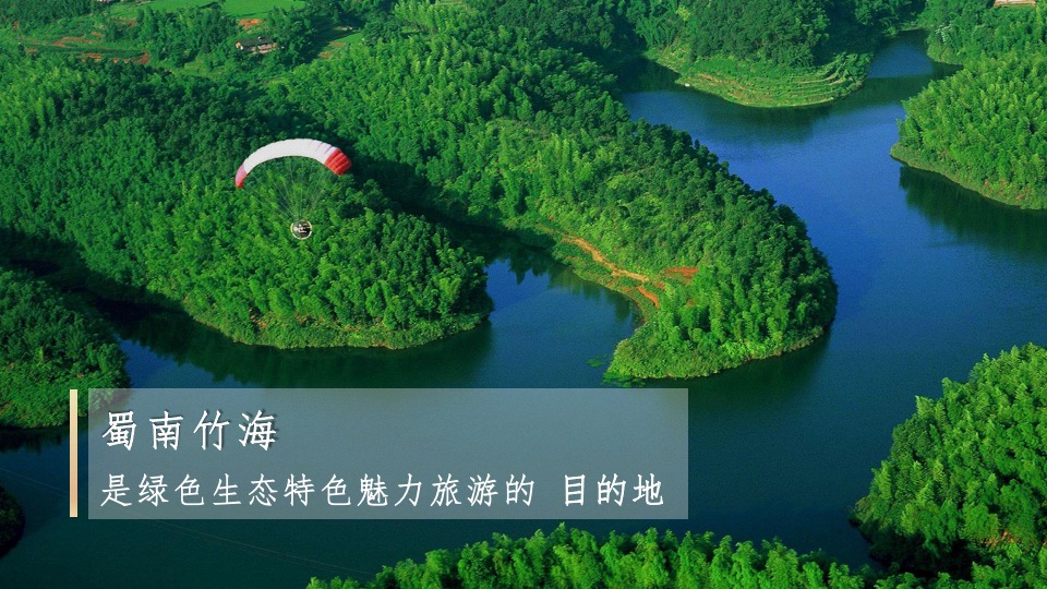 竹笋饼干品牌策略全案