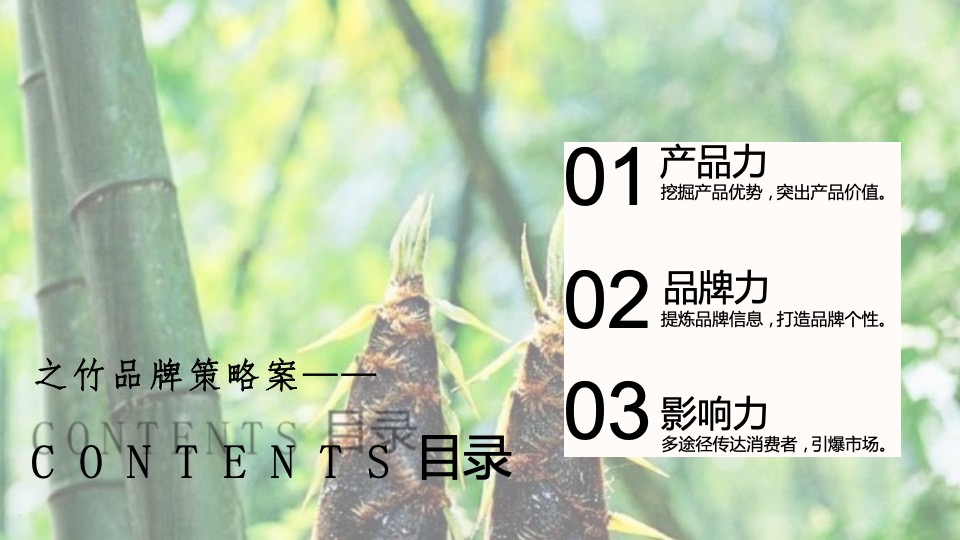 竹笋饼干品牌策略全案