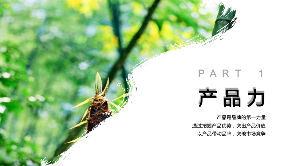 竹笋饼干品牌策略全案