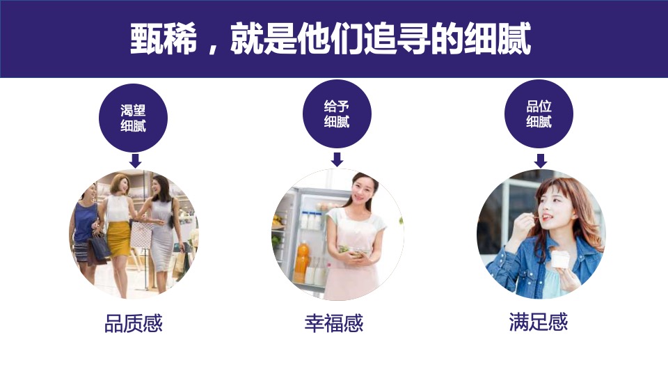 伊利甄稀冰淇淋年度公关整合传播执行案