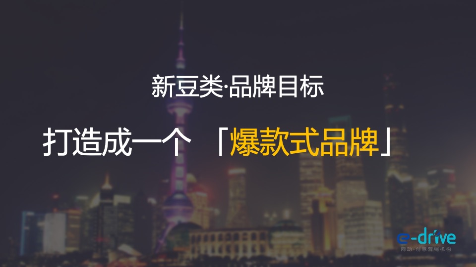 马大姐新豆类品牌打造方案(改新)