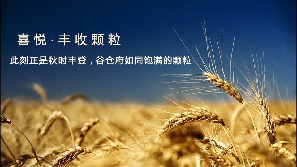 地产项目营销中心开放暨光影艺术展（谷仓秋时·艺术盛启主题）活动策划方案