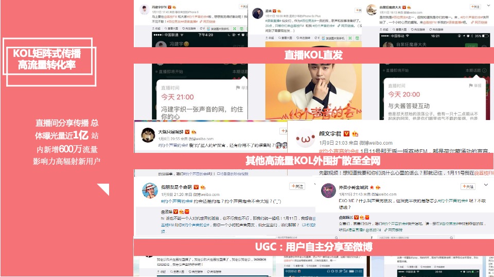 荔枝FM 约个声音的会 结案报告