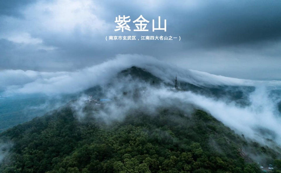 龙湖南京紫金原著整合推广案