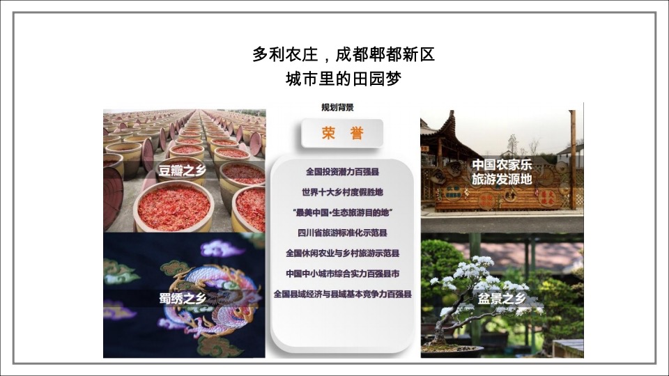 中国田园文旅综合体 协信多利农庄推广案