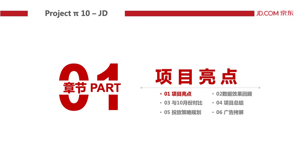 Project π 10 – JD-结案报告