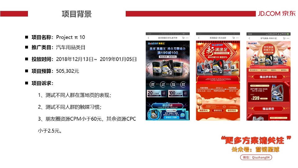 Project π 10 – JD-结案报告