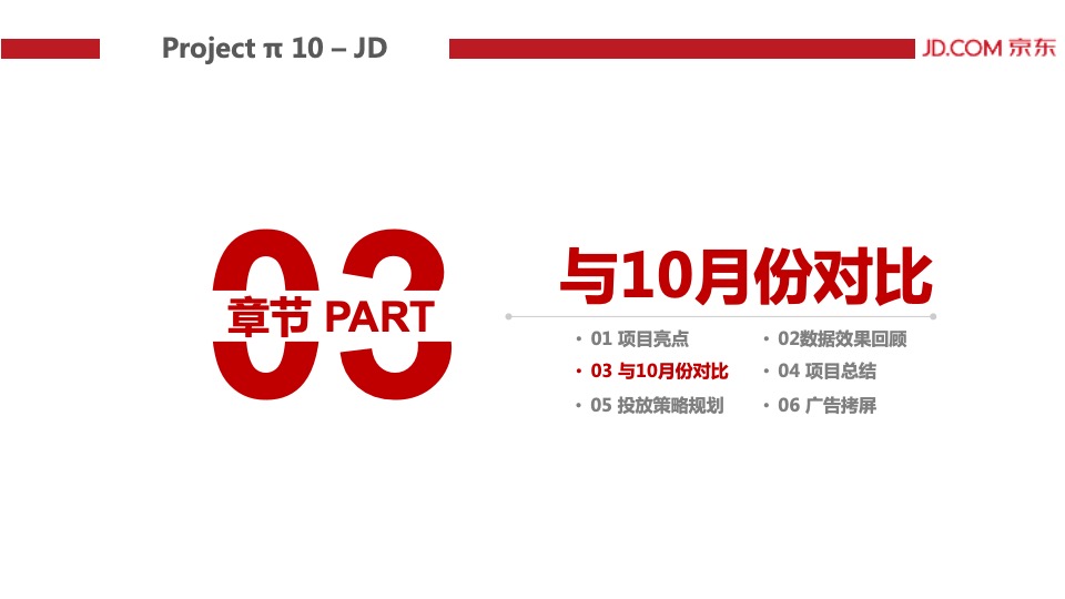 Project π 10 – JD-结案报告
