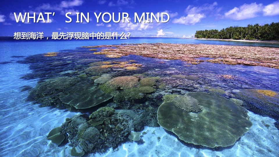 商业广场夏季美陈（渔人湾码头主题）包装方案