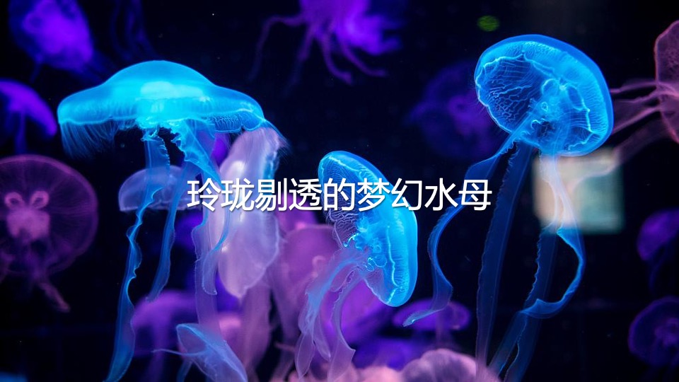 商业广场夏季美陈（渔人湾码头主题）包装方案