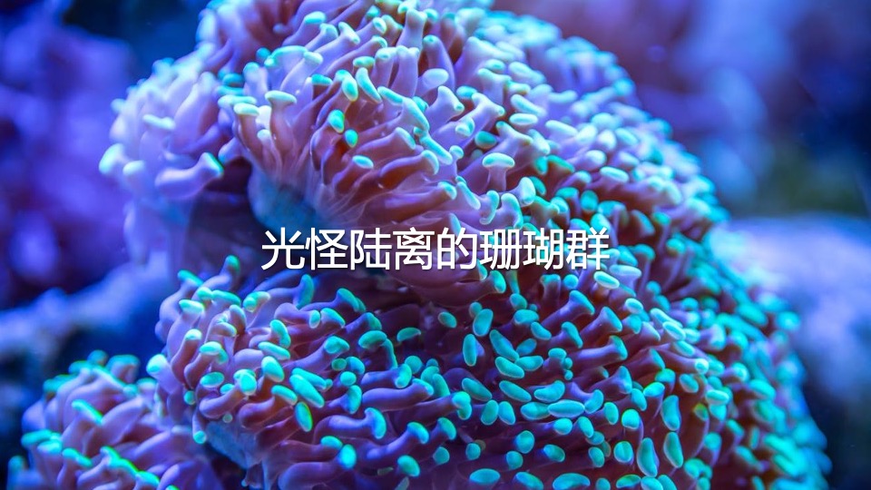 商业广场夏季美陈（渔人湾码头主题）包装方案