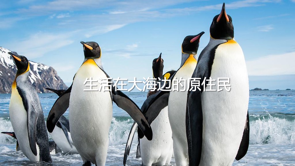 商业广场夏季美陈（渔人湾码头主题）包装方案