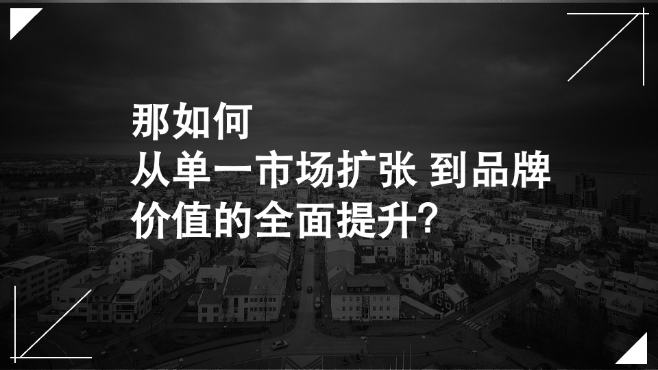 都市丽人女装案例总结