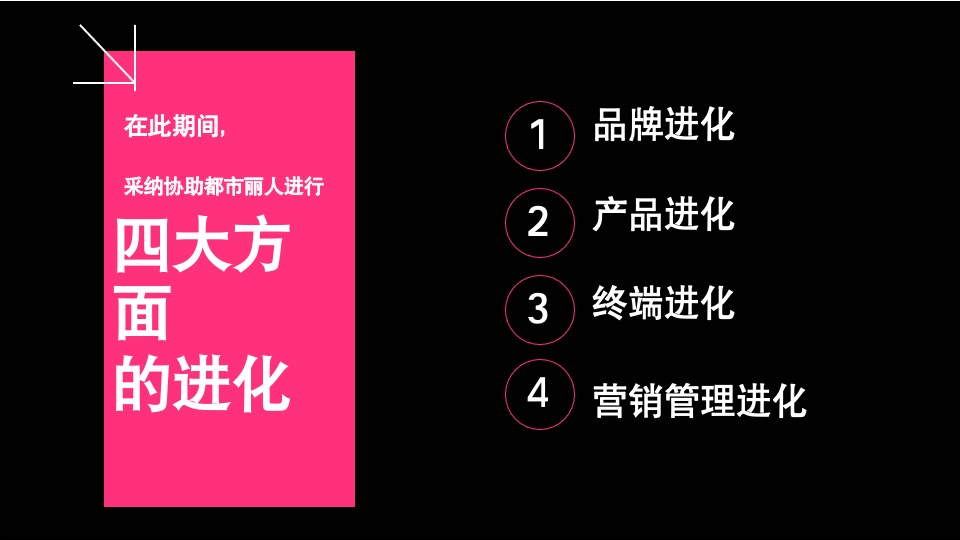 都市丽人女装案例总结
