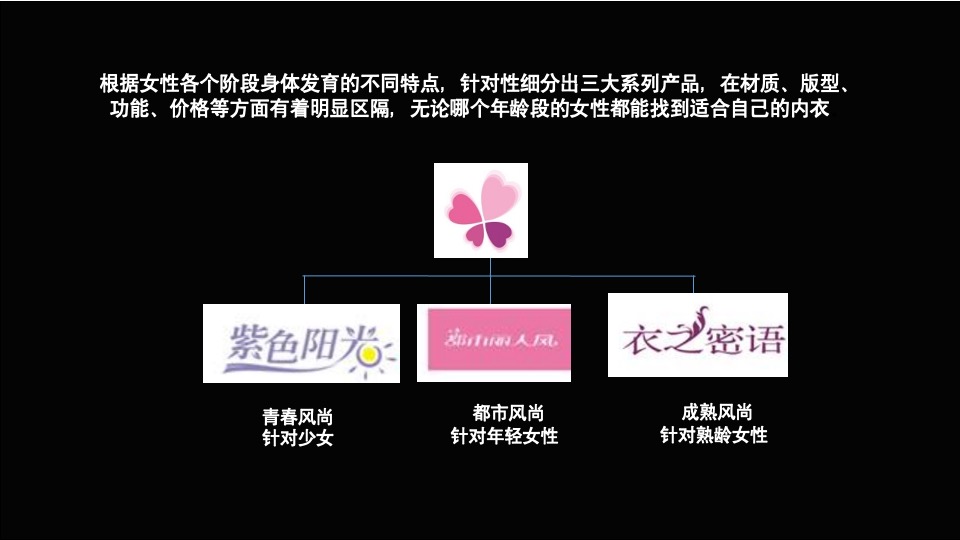 都市丽人女装案例总结