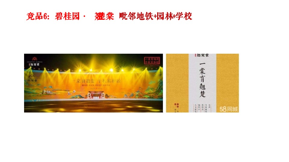 长沙旭辉·汇樾城传播推广策略案-金燕达观