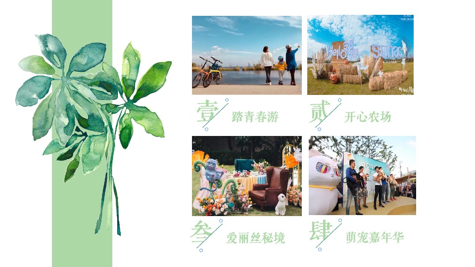 地产项目五月月度暖场（春日宠粉·野游计划主题）活动策划方案