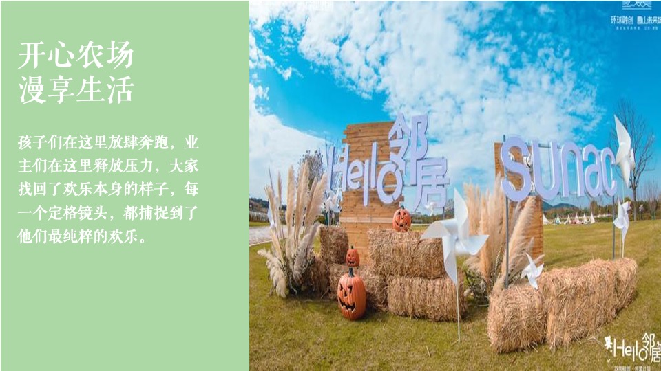 地产项目五月月度暖场（春日宠粉·野游计划主题）活动策划方案