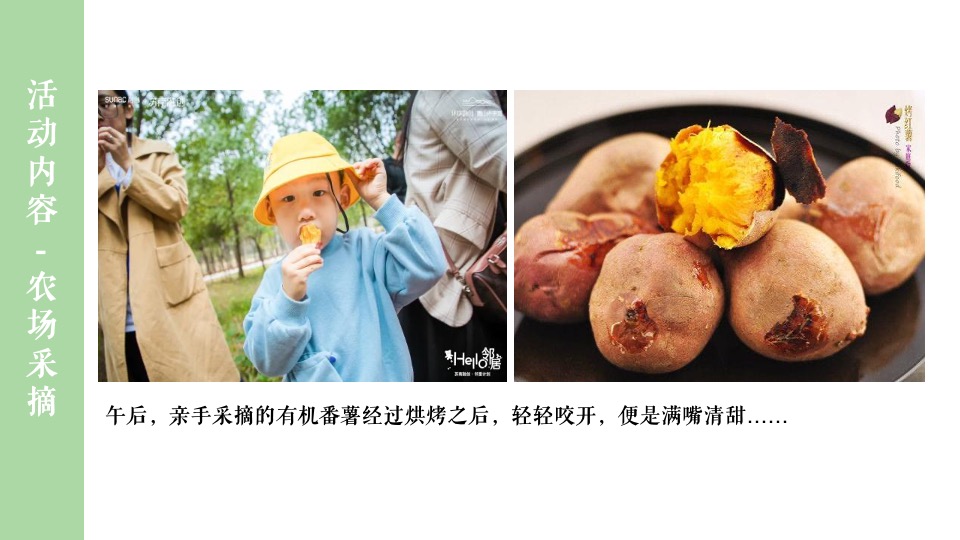 地产项目五月月度暖场（春日宠粉·野游计划主题）活动策划方案