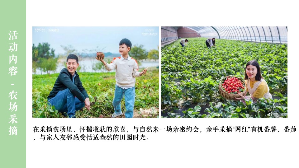 地产项目五月月度暖场（春日宠粉·野游计划主题）活动策划方案