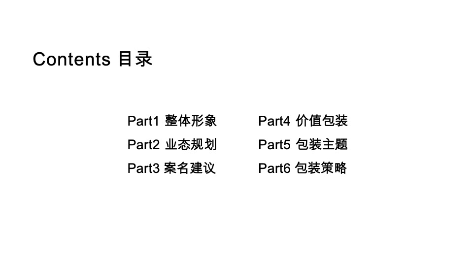 天成名都主题商业街包装策略