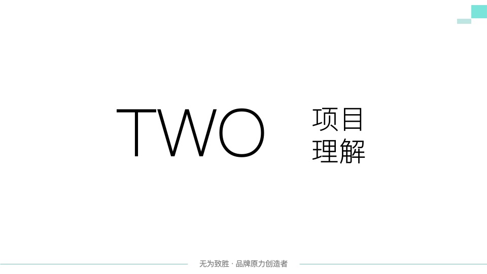 万科理想城年度整合推广提案