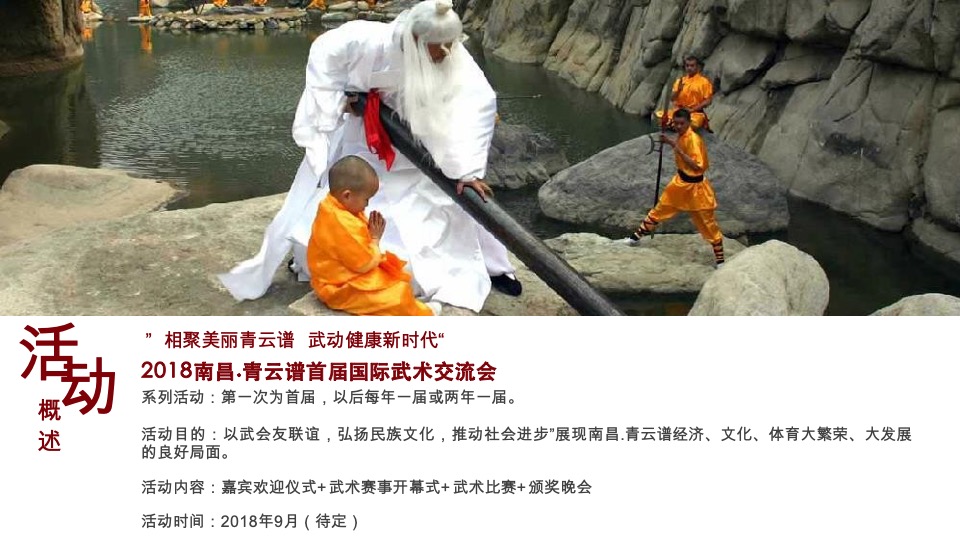 国际武术交流会创意方案