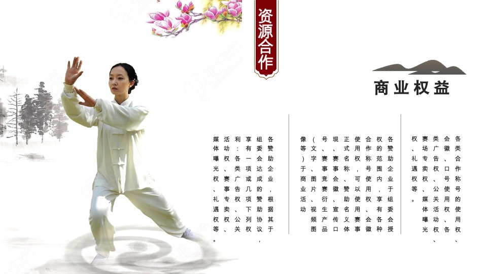 国际武术交流会创意方案