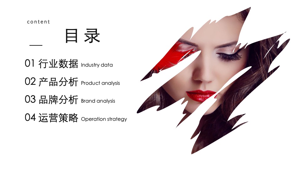 祛痘化妆品品牌构想及推广规划方案