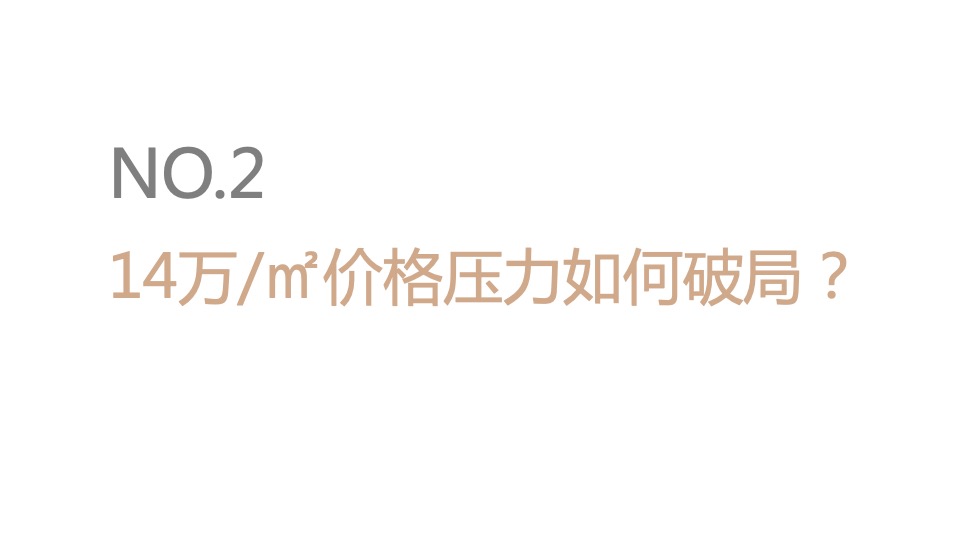 龙华金茂府整合推广竞标方案