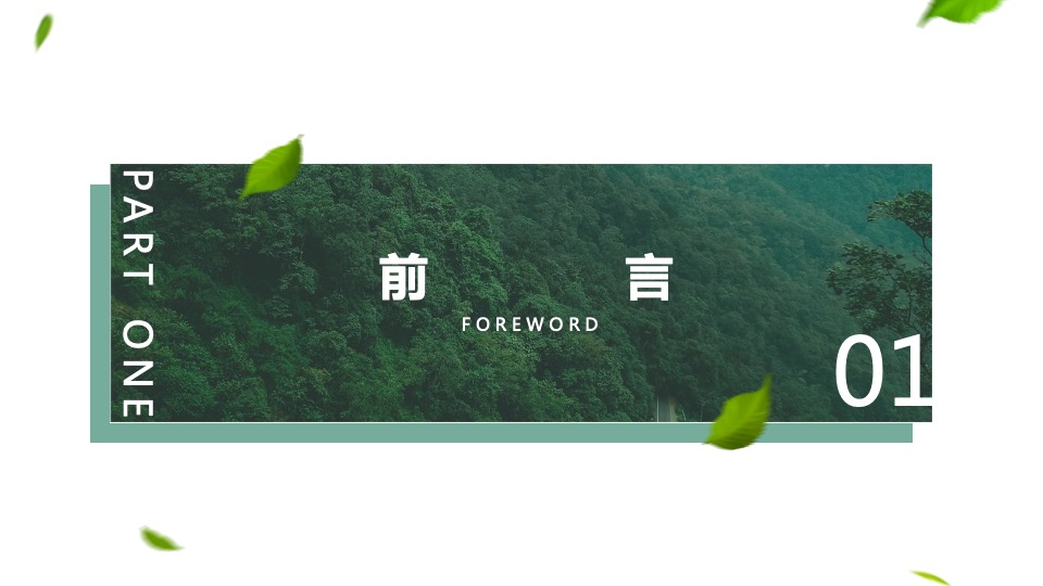 城市六五环境日宣传活动策划方案