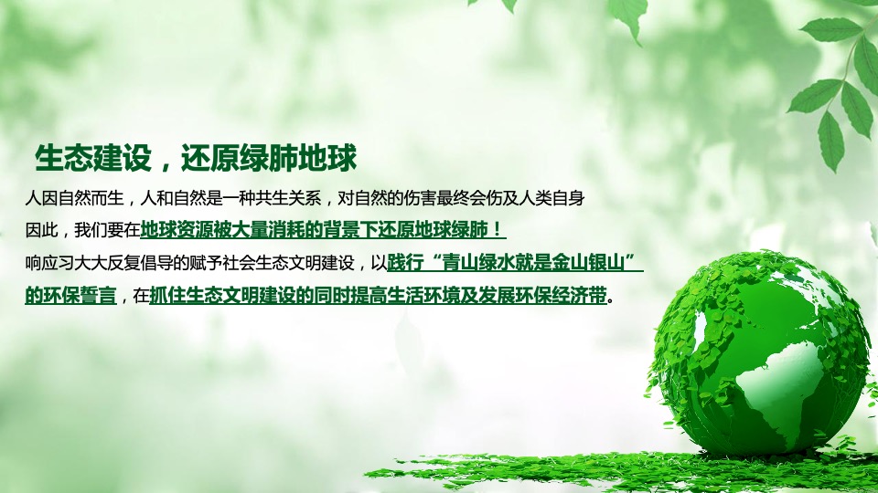 城市六五环境日宣传活动策划方案