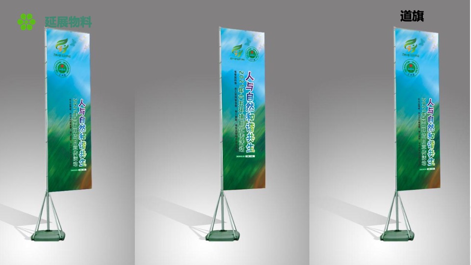 城市六五环境日宣传活动策划方案