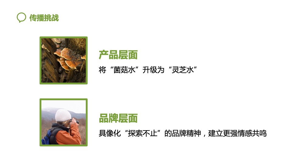 韦博士Origins灵芝焕能精华水品牌传播方案（化妆品护肤品）