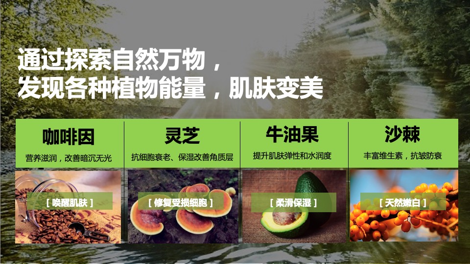 韦博士Origins灵芝焕能精华水品牌传播方案（化妆品护肤品）