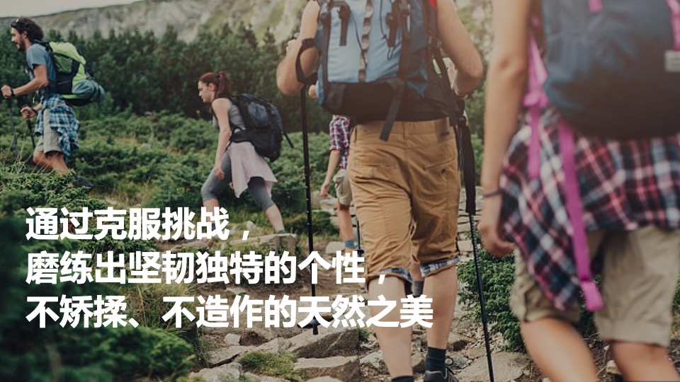 韦博士Origins灵芝焕能精华水品牌传播方案（化妆品护肤品）