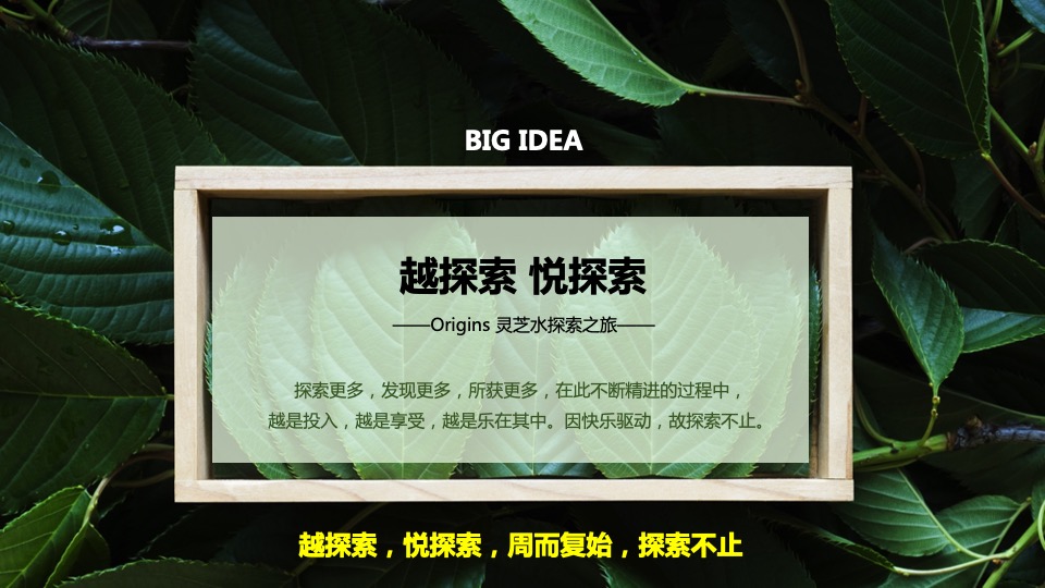 韦博士Origins灵芝焕能精华水品牌传播方案（化妆品护肤品）