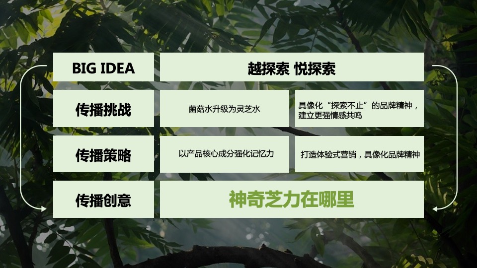 韦博士Origins灵芝焕能精华水品牌传播方案（化妆品护肤品）