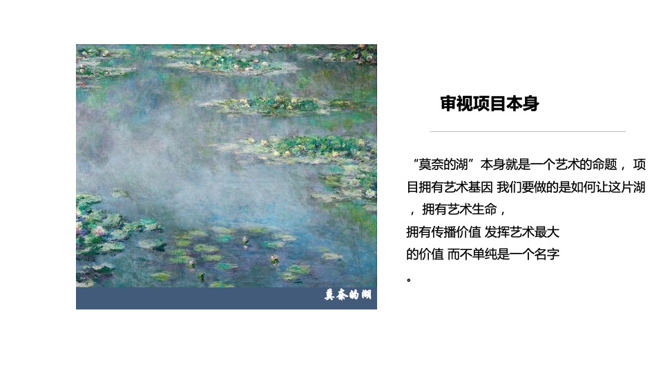 莫奈的湖线上营销炒作方案