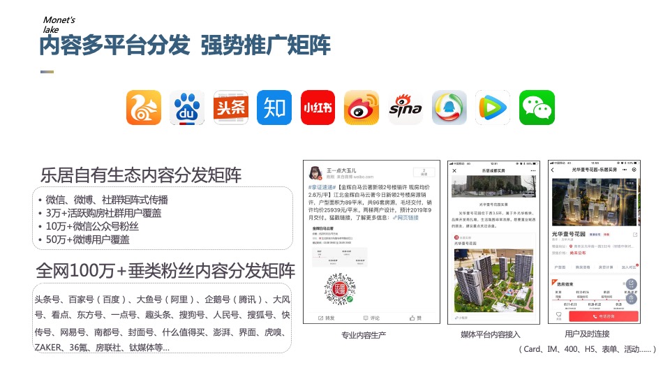 莫奈的湖线上营销炒作方案