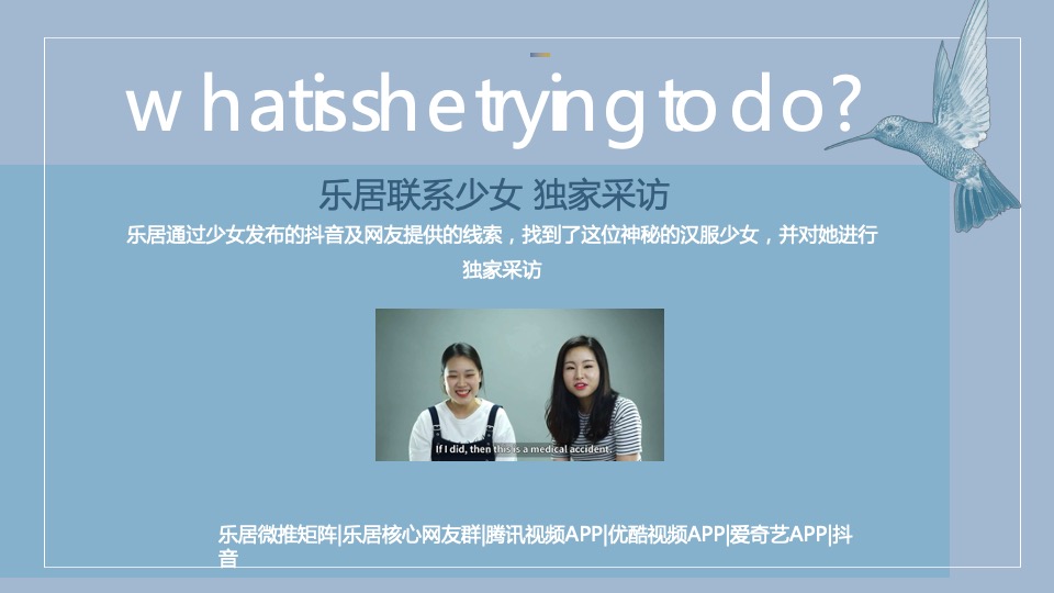 莫奈的湖线上营销炒作方案