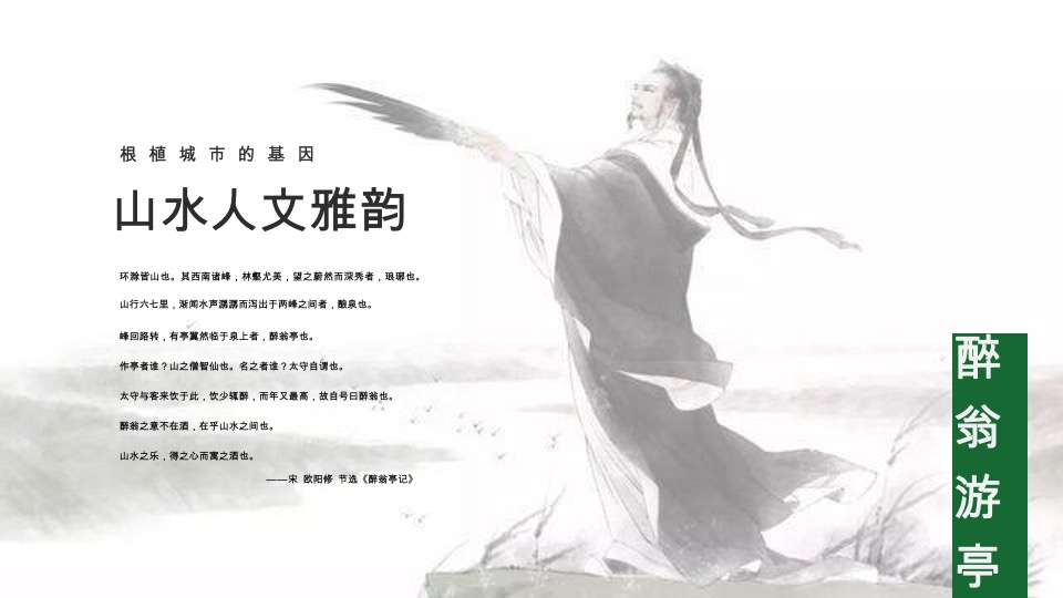 华侨城滁州明湖康养生态小镇项目运营思考竞标提案