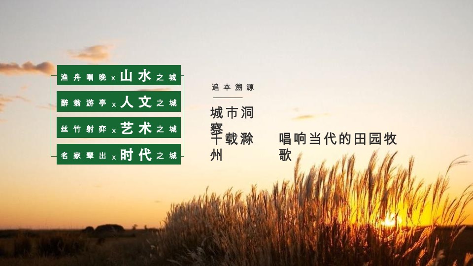 华侨城滁州明湖康养生态小镇项目运营思考竞标提案