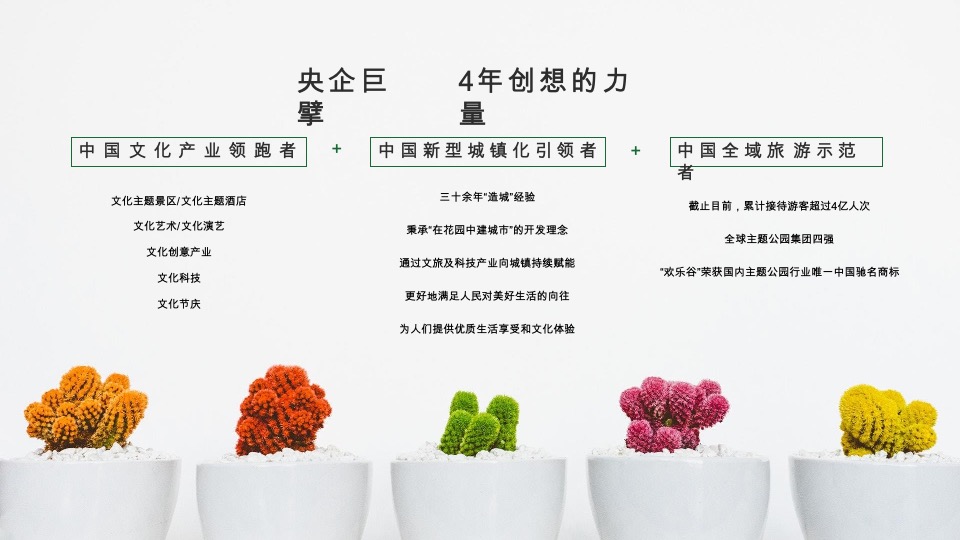 华侨城滁州明湖康养生态小镇项目运营思考竞标提案