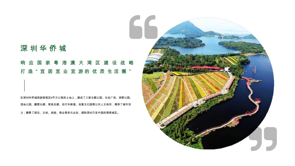 华侨城滁州明湖康养生态小镇项目运营思考竞标提案