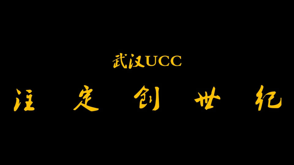 武汉华润万象汇润府营销策略报告