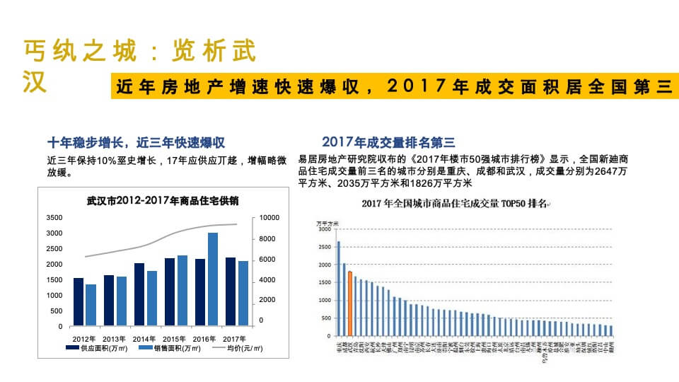武汉华润万象汇润府营销策略报告