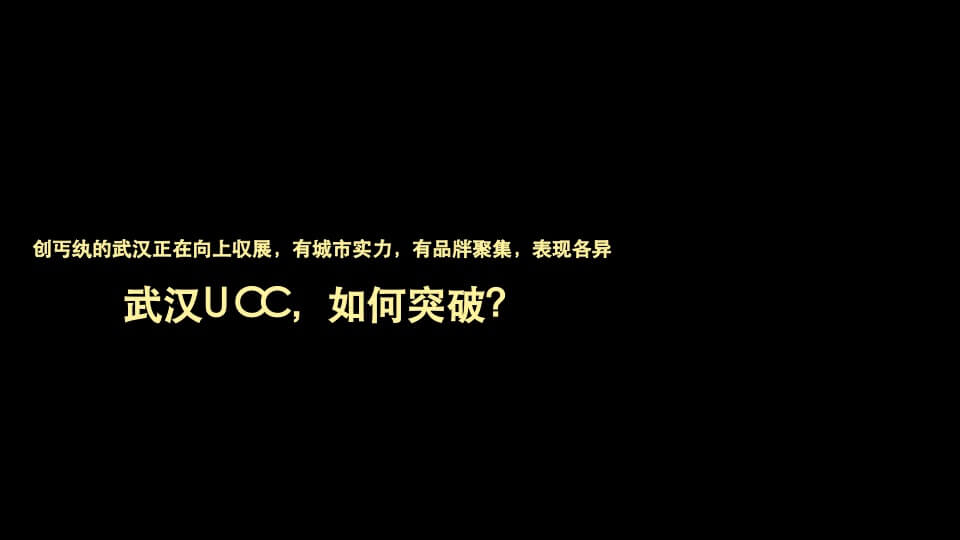 武汉华润万象汇润府营销策略报告