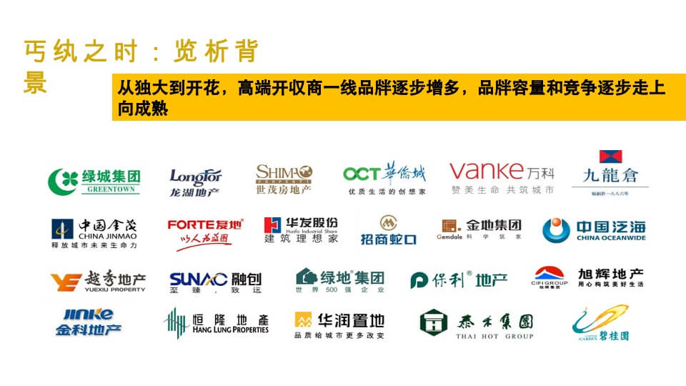 武汉华润万象汇润府营销策略报告